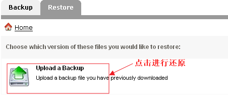 backup
